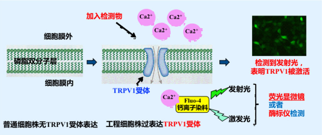 3 首页|3499拉斯维加斯集团官方网站